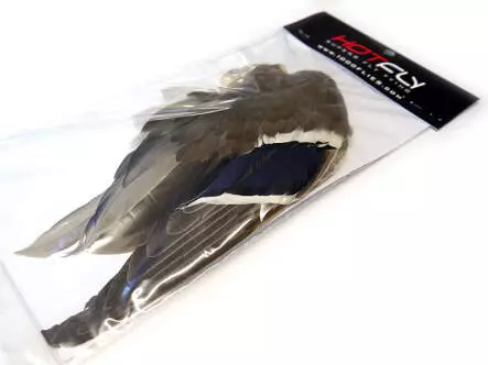 STOCKENTENFLÜGEL hotfly