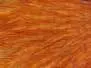 HENNENBALG PREMIUM hotfly - coachman brown