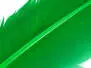 TRUTHAHNFEDER (TURKEY FEATHER) hotfly - 1 Stk. - green