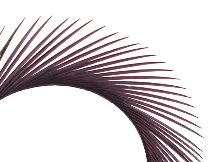 TRUTHAHNBIOTS (TURKEY BIOTS) XL-PACK - 5 Stk. - ca. 15 cm - purple