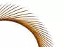 TRUTHAHNBIOTS (TURKEY BIOTS) XL-PACK - 5 Stk. - ca. 15 cm...