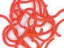 SQUIRMY WORMS hotfly - 2,5 mm - 100 cm - red
