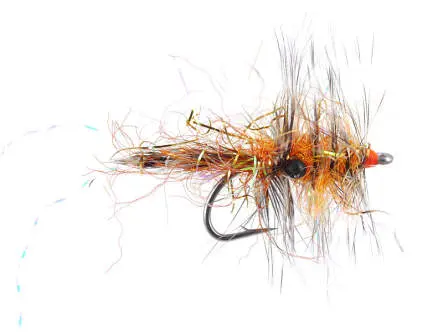 Polar Chenille Shrimp Orange
