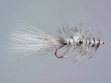 Vaskebjorn White