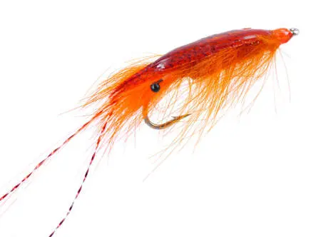 Agerskov Epoxy Mallard Shrimp Orange 6