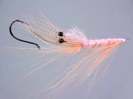 MW Pattegrisen Intruder Shrimp Pink 6