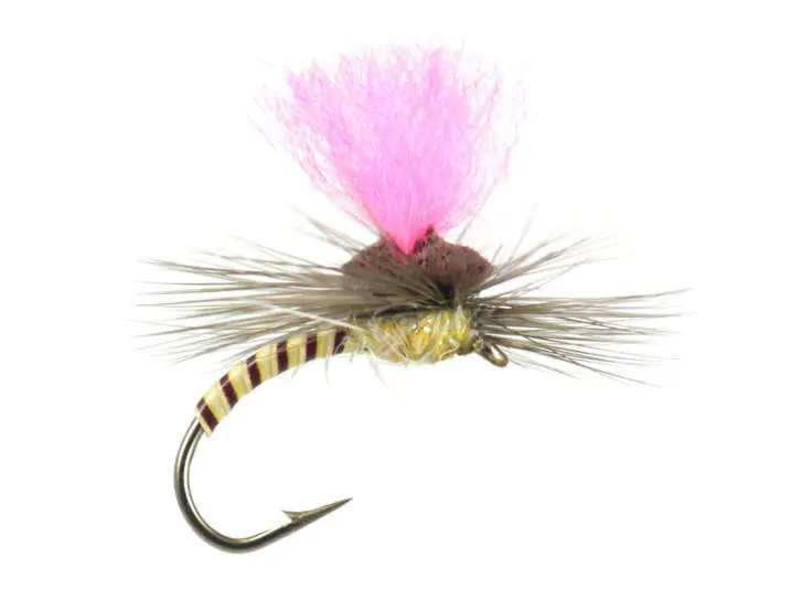 Cream Synquill Klinkhamer