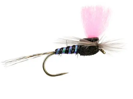Black High-Viz Paradream BL