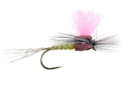 Light Olive High-Viz Paradream BL