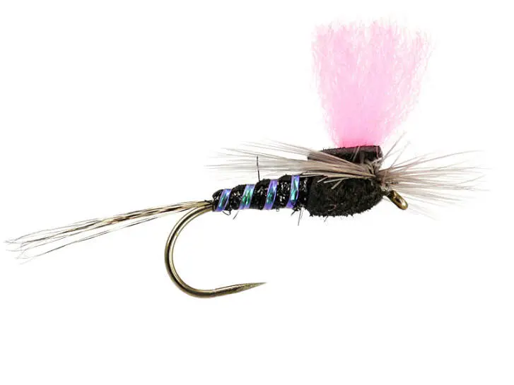 Black High-Viz Paradream BL 12