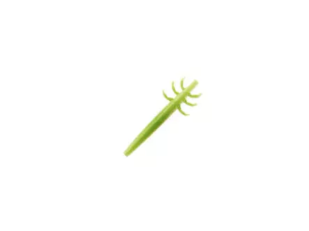 J:son Realistic Caddis Larvae nymph backs - CL4 - 12 pc....