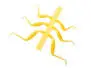 J:son Realistic Stonefly nymph legs - S1 - 12 pc. - yellow