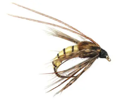 Caddis Pupa Cream 12