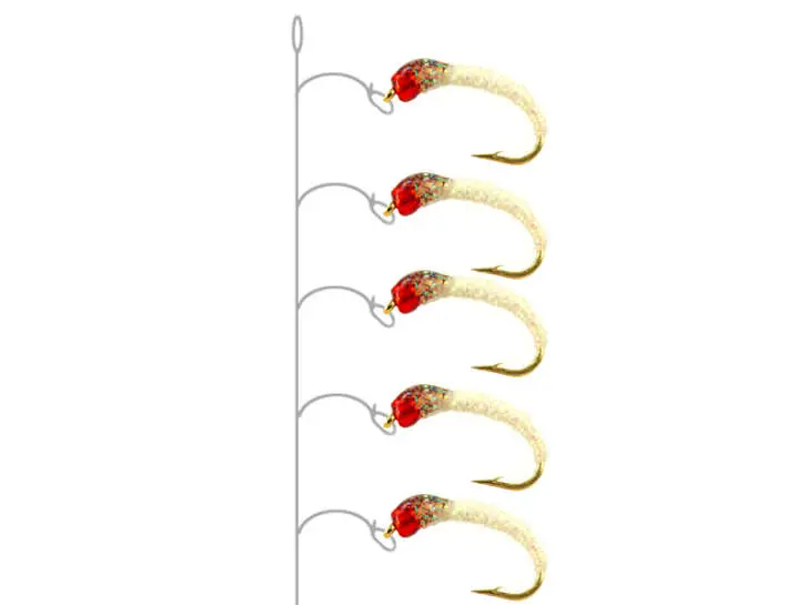 Alosa Agone Hegene PEARL BRAID