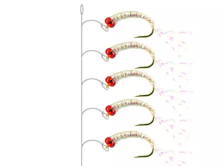 Alosa Agone Hegene PEARL RED HEAD