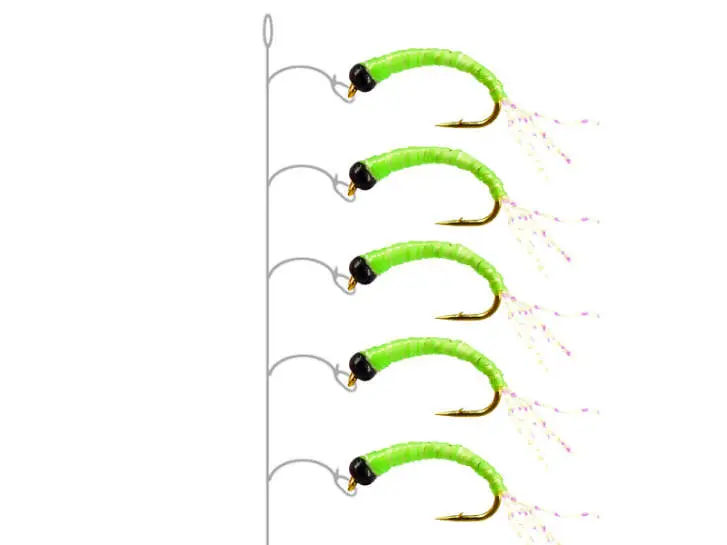 Alosa Agone Hegene CHARTREUSE GLOWING 12