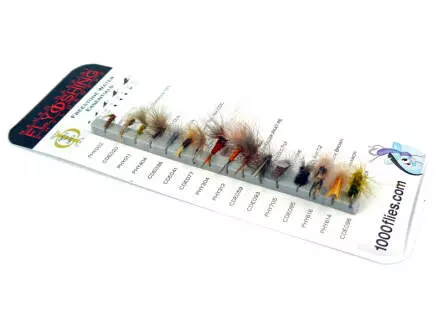 Set FREESTONE WATER ESSENTIALS (Bergbach Talende) by...