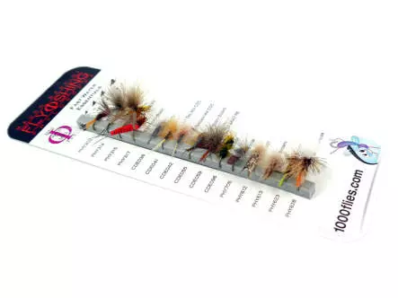 Set FAST WATER ESSENTIALS (Bergbach) by Raspini - 15 Fliegen