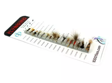 Set SLOW WATER ESSENTIALS (Fluss Flachland) by Raspini -...