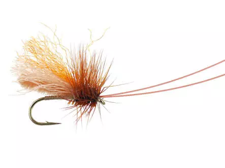Slickwater Caddis - Tan