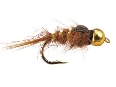 Rose Hares Ear BH Nymph