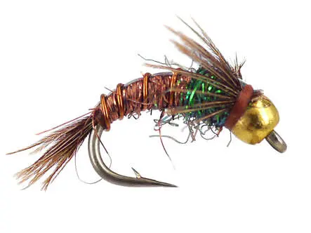 Kyles BH C-N Angel Hair Pheasant Tail