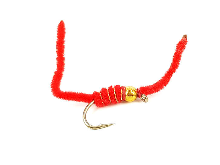 Petras Blood Worm Red