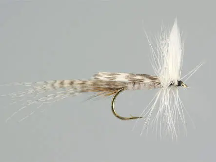 White Mayfly Dun