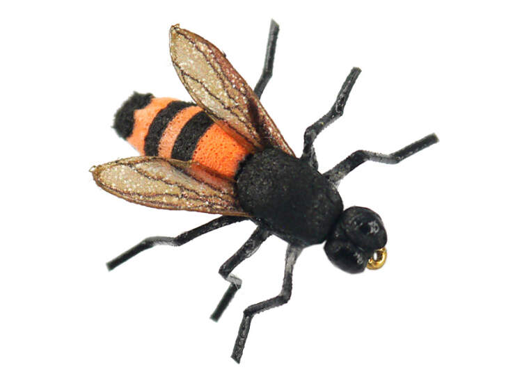 X-true Honey Bee Orange