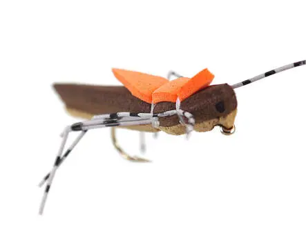 Morrish Hopper Tan