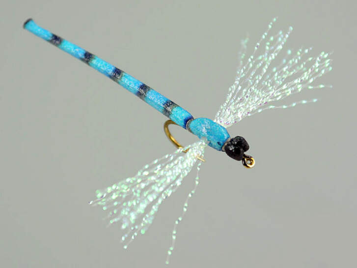 Dragonfly blue