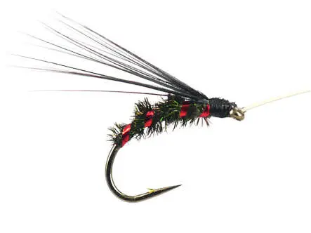 Riofranz Premium Red