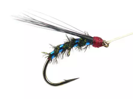 Riofranz Premium Blue