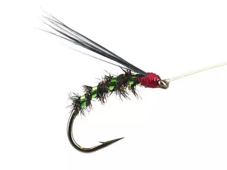 Riofranz Premium Green