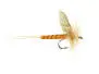 Sulphur Mayfly