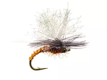 Christiaens GT Adult - Mahogany