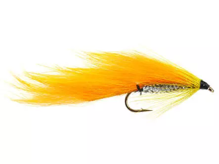 Orange Zonker