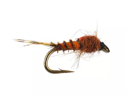 Olive Neanid Serie 01 - Brown-Red