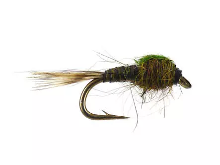 Olive Neanid Serie 02 - Pale Olive
