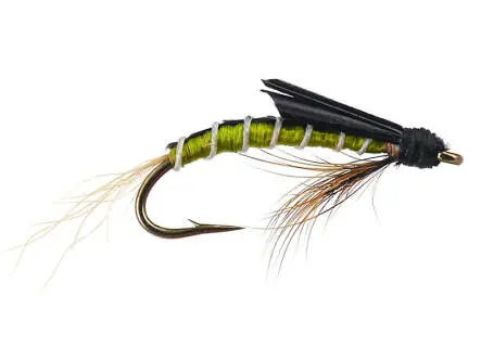 Olive Swimming Nymph - Medium Olive