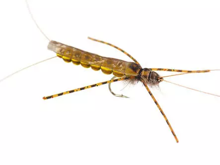 Large Realistic Yellow Stonefly