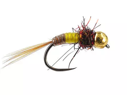 TG Little Bicolour Favourite BL