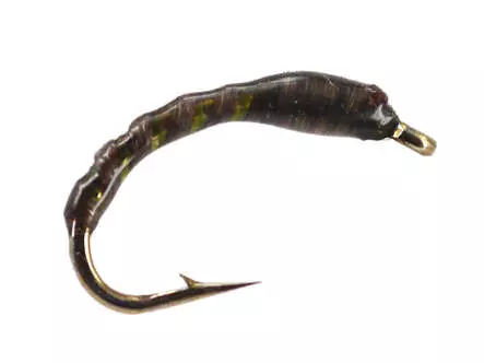 Olive Rib Buzzer