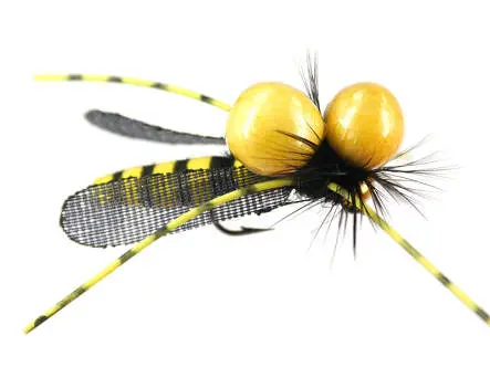 Dangerous Large Wasp SPI
