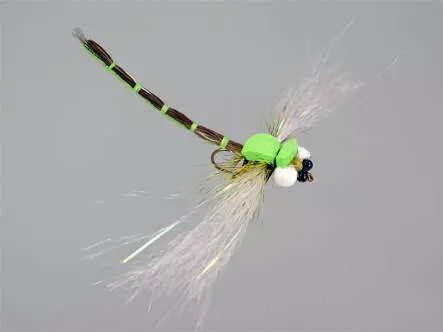 Superb Large Dragonfly Green