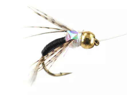 Ales Black Copper Nymph