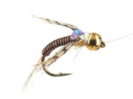 Ales BI Copper Nymph