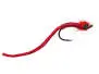Red Dragonflyworm Variant