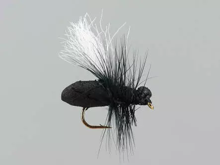 Black Ant Hf