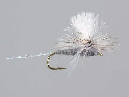 Krystal Wing Para-Spinner Grey